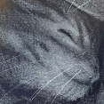 Micio